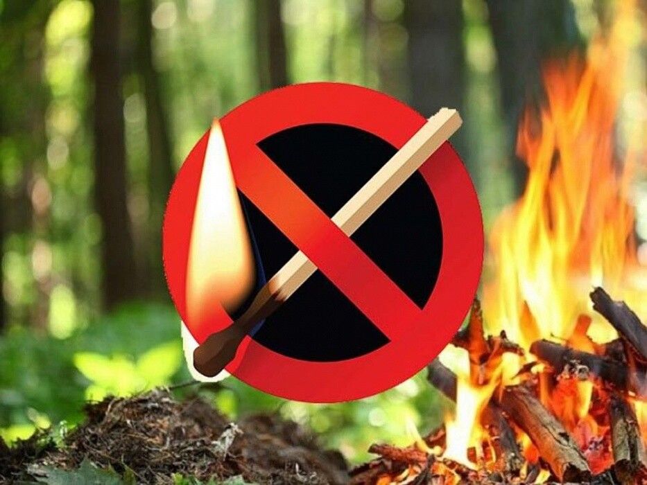 Пожароопасный сезон объявлен в лесах Томской области.